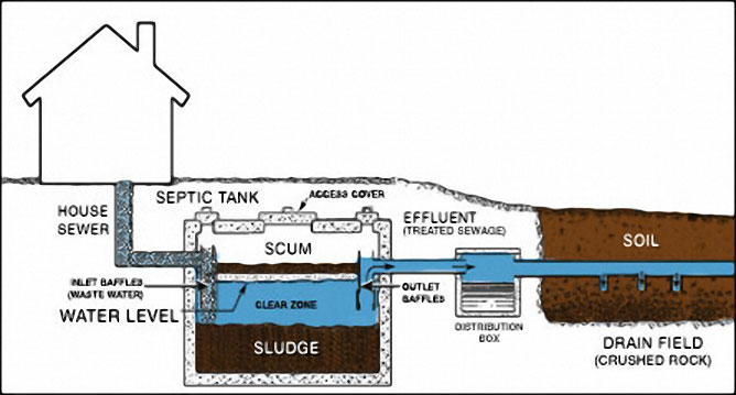 Vallance Size Chart